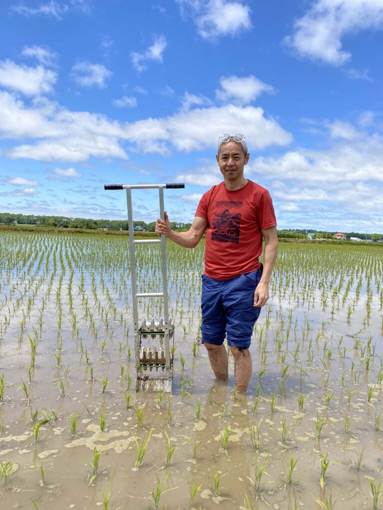 田んぼの除草作業