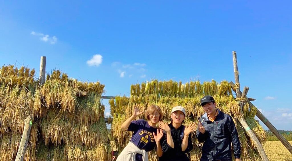 稲刈りで学ぶリーダーシップ